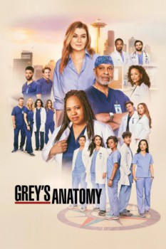 poster Grey's Anatomy - Season 11  (2005)