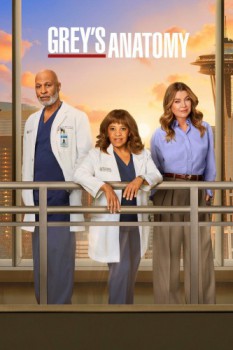 poster Grey's Anatomy - Season 09&nbsp;&nbsp;(2005)