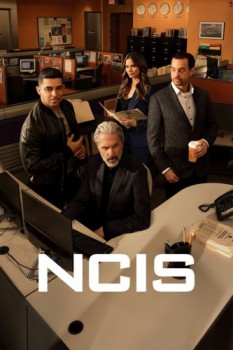 poster NCIS - Season 10&nbsp;&nbsp;(2003)