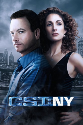 poster CSI: NY - Season 02