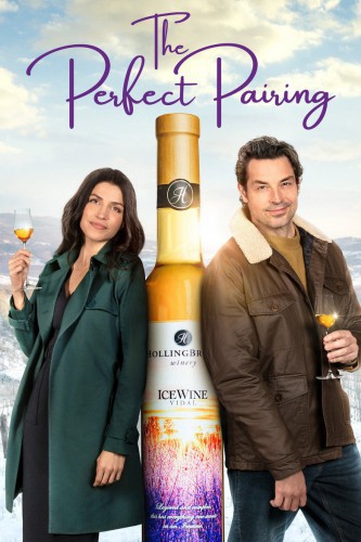 poster The Perfect Pairing