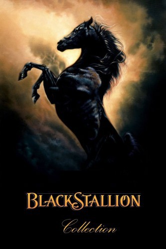 poster The Black Stallion Collection